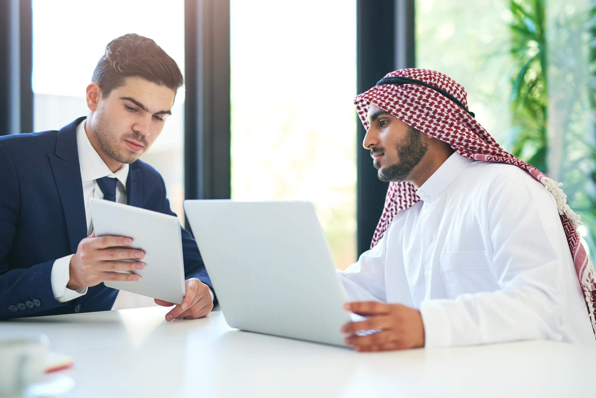 الاستدامة المالية